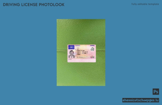 Vorschau der Fotolook-Beispiele für Dänemark DL